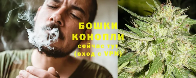 купить   Горячий Ключ  МЕГА вход  Канабис OG Kush 